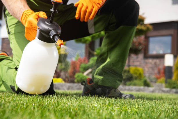 Best Best Pest Control Companies  in Langley, SC